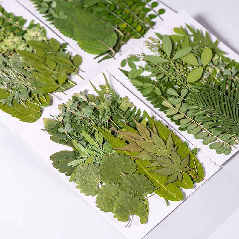 1Set 35pcs Pressed Dried Flowe - Dried Flower Bookmark review and price