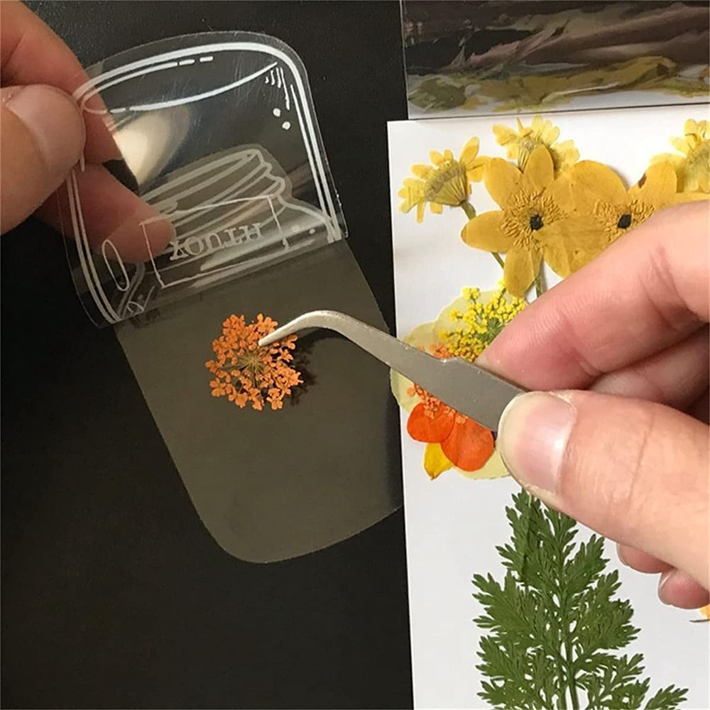 30Pcs Transparent Dried Flower - Dried Flower Bookmark review and price